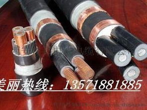 陕西安电缆全解析 KVV控制电缆、KVVP屏蔽电缆、YJV电力电缆及YJLV铝芯电缆厂家选型指南